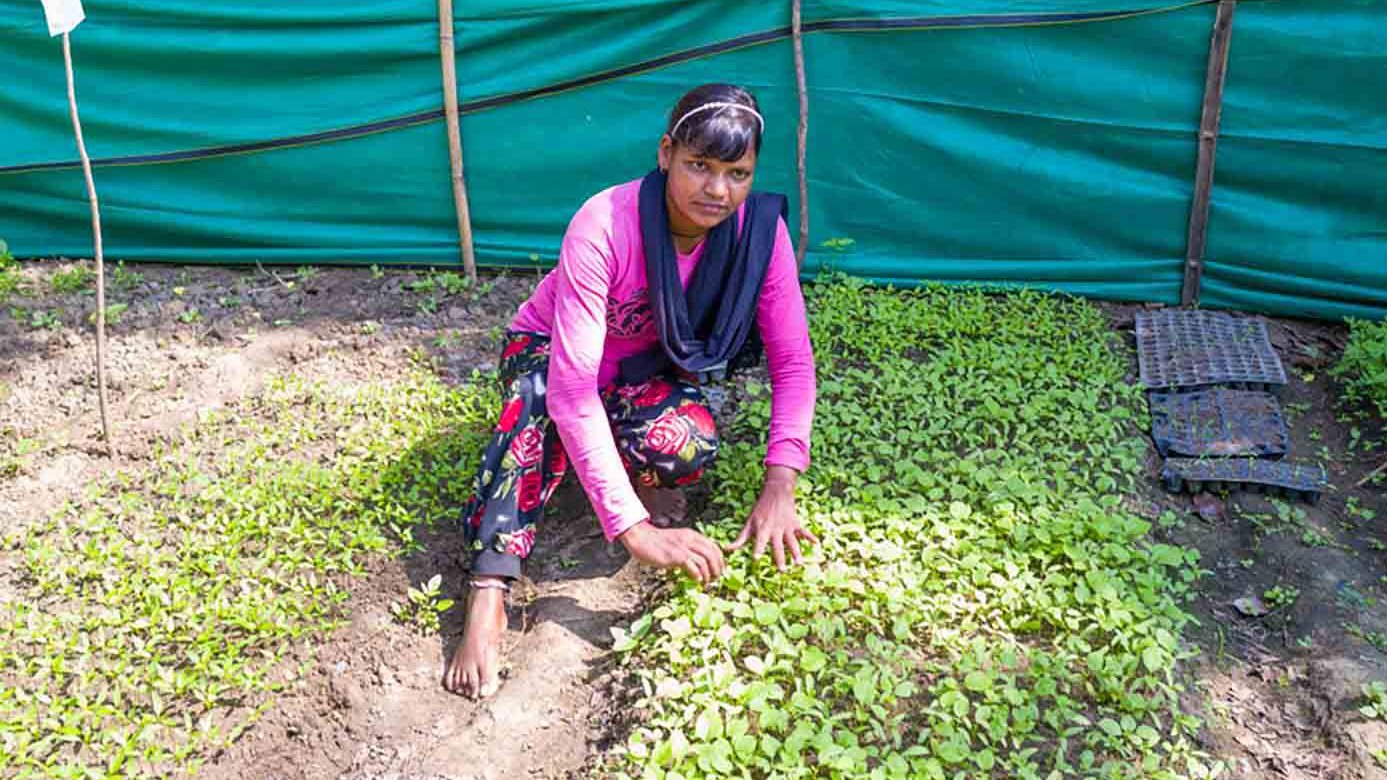 Eine junge Frau, die eine körperliche Behinderung hat und in Indien lebt, kauert zwischen zwei Beeten voller Bohnen-Setzlingen. 