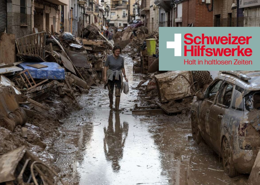 Zur Webseite der Schweizer Hilfswerke