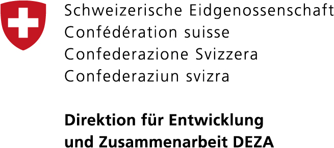 Logo Direktion für Entwicklung und Zusammenarbeit