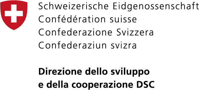 Logo Direzione dello sviluppo e della cooperazione
