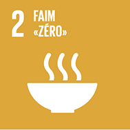 Carré ocre pour l'ODD 2. Pictogramme représentant une soupe fumante, avec le titre «2 Faim 'zéro'».