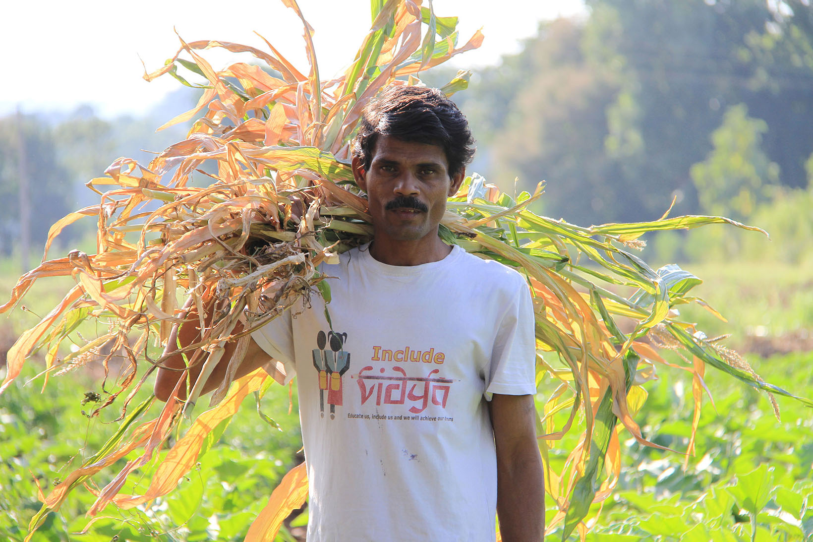 Un homme en Inde cultivant les champs.